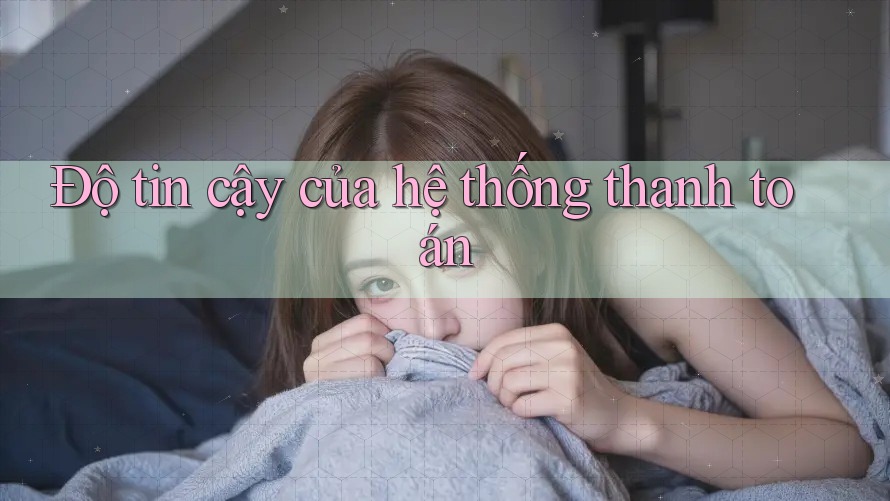 Độ tin cậy của hệ thống thanh toán Độ tin cậy của hệ thống thanh toán