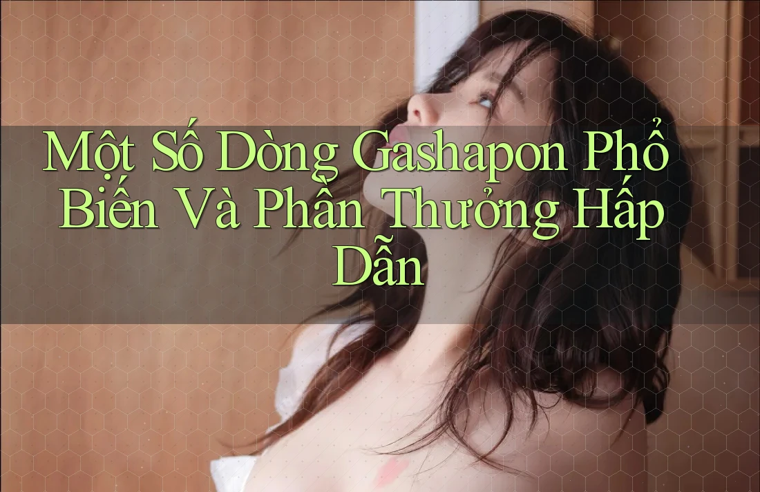 Một Số Dòng Gashapon Phổ Biến Và Phần Thưởng Hấp Dẫn
