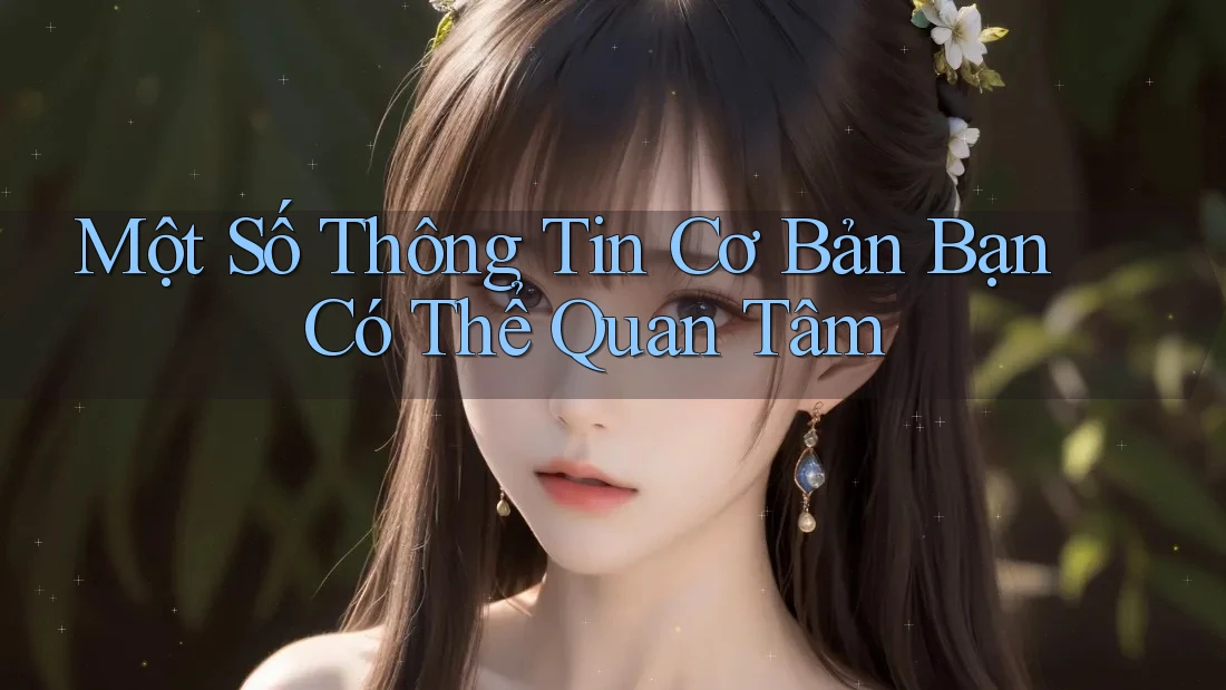 Một Số Thông Tin Cơ Bản Bạn Có Thể Quan Tâm